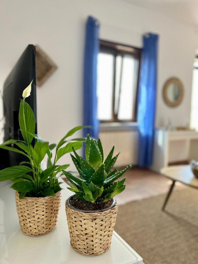 Sea Breeze House Apartman Fiumicino Kültér fotó